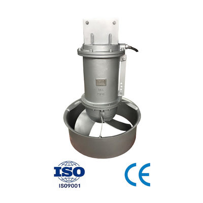 Good price Pompes électriques pour mélangeurs submersibles pour réservoirs anoxiques avec construction en fonte en ligne